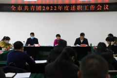 团市委召开全市共