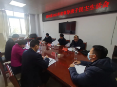 团市委召开2022年度